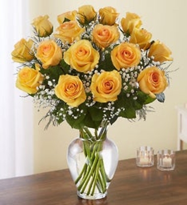 Yellow Rose Elegance