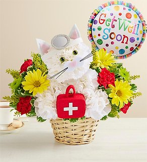 Cure-All Kitty