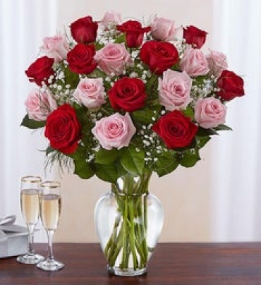 Romance Rose Elegance