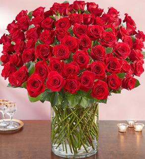 100 Premium Stem Red Roses