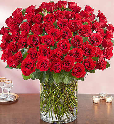 100 Premium Stem Red Roses