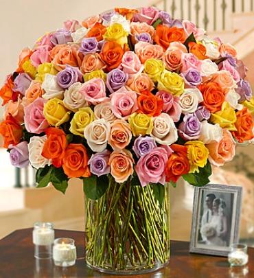 100 Premium Stem Multicolored Roses
