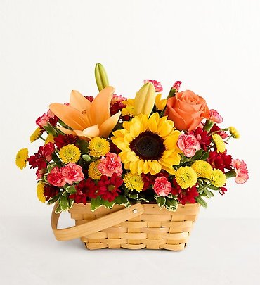 Fields of Europe for Fall Basket