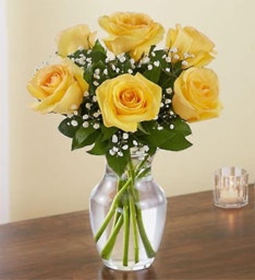 Yellow Rose Elegance
