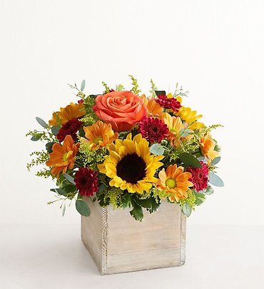 Harvest Glow Bouquet