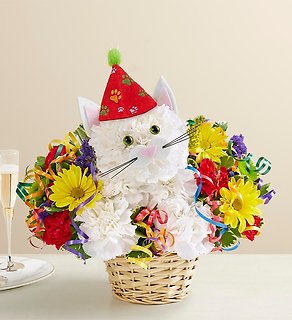 Purrfect Party Cat