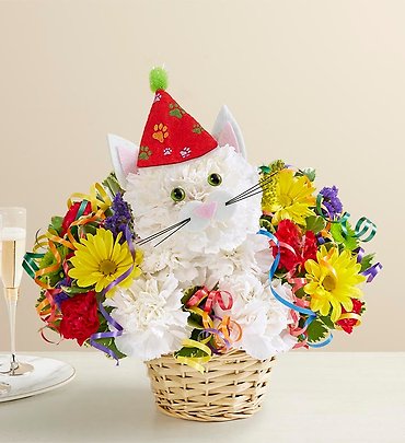 Purrfect Party Cat