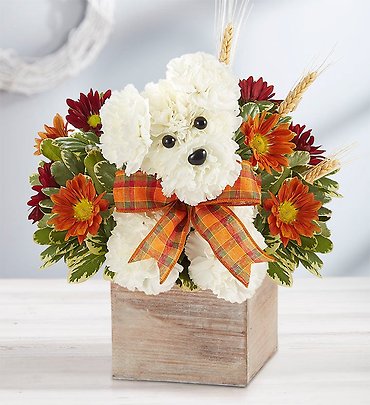Dog on sale flower arrangement