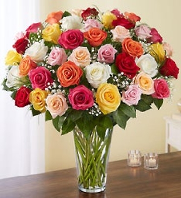 Multi-Colored Rose Elegance