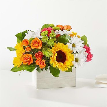 Sun-drenched Blooms Box Bouquet