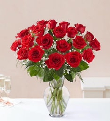 Red Rose Elegance
