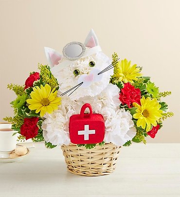 Cure-All Kitty
