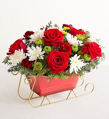 Dashing Through the Snow Sleigh