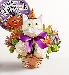 Purrfect Potions Fabulous Feline