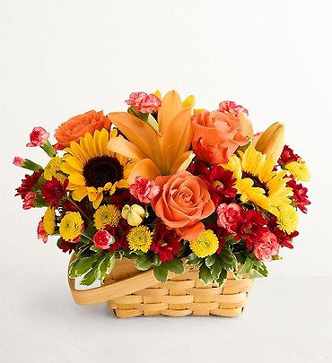 Fields of Europe for Fall Basket