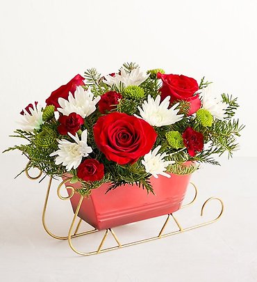 Dashing Through the Snow Sleigh