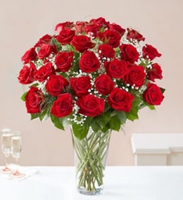 Red Rose Elegance