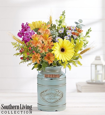 Autumn Delight by Southern Living