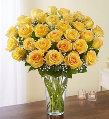 Yellow Rose Elegance