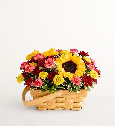 Fields of Europe for Fall Basket