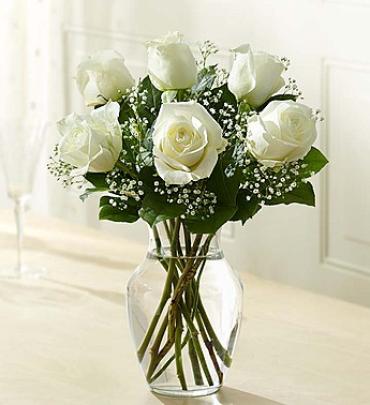 White Rose Elegance