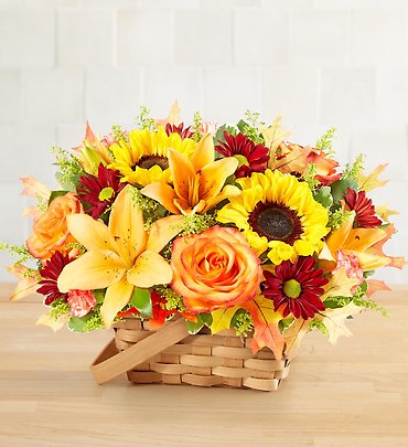 Fields of Europe for Fall Basket